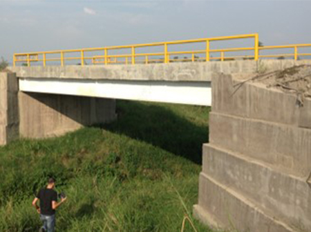 Puentes Ingenio Risaralda